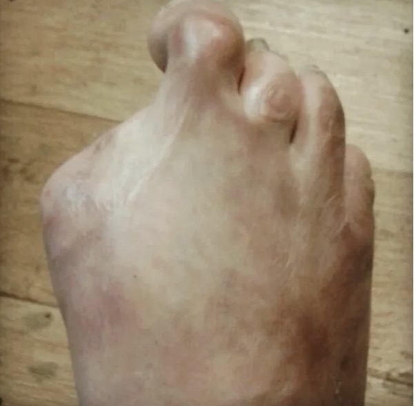 LOlkuva 2018-9-17 kello 10.19.51