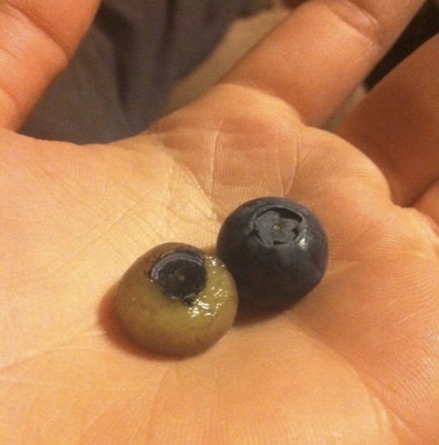 cmastalski / Via reddit.com