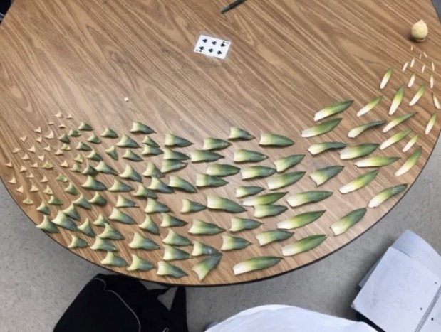 hockeypup19 / Via reddit.com