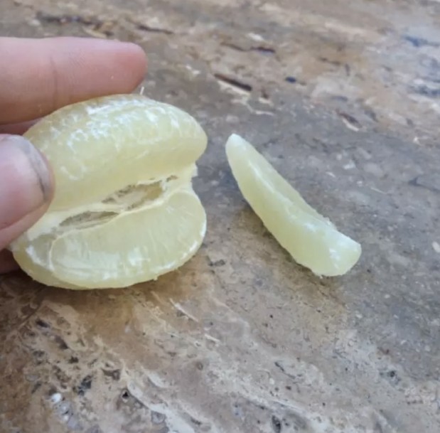 Shlaaap / Via reddit.com