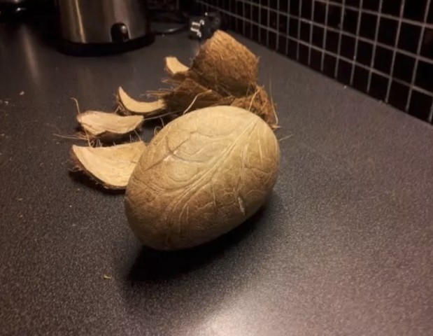 Hercuz / Via reddit.com