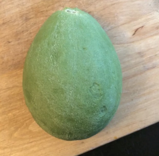 alittlebitstitious / Via reddit.com