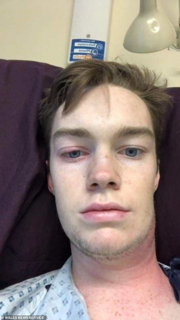 Kuva: Wales News Service