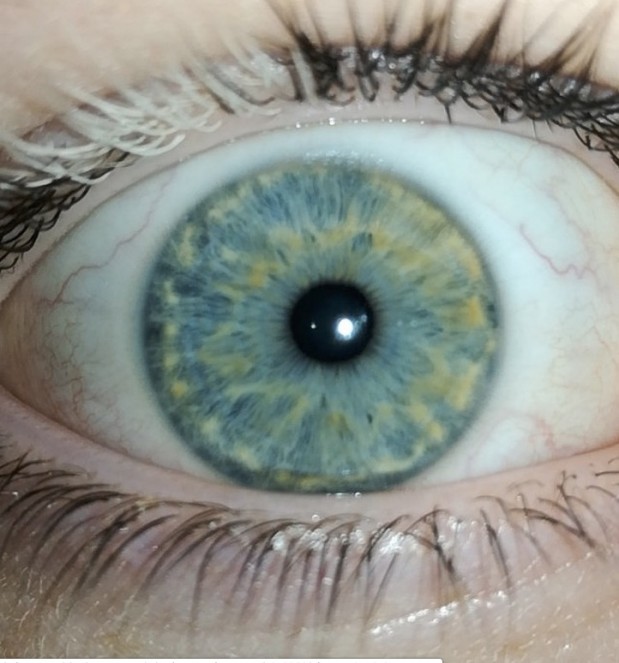 LOlkuva 2018-10-4 kello 16.09.33