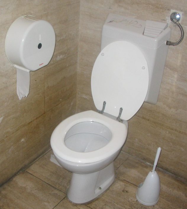 Toilet_with_flush_water_tank