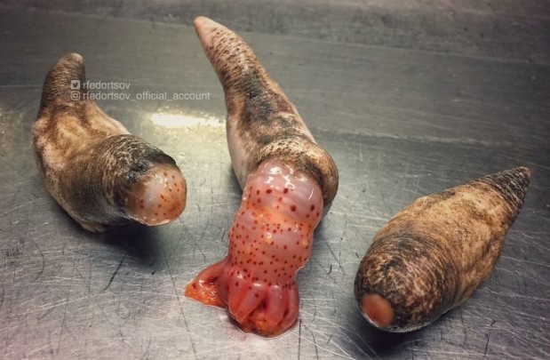 Twitter.com / rfedortsov