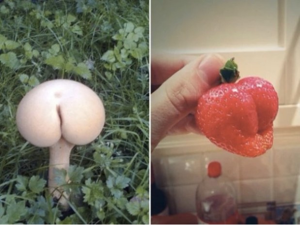 LOlkuva 2018-12-4 kello 11.20.36