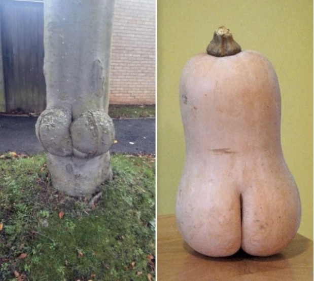 LOlkuva 2018-12-4 kello 11.20.51