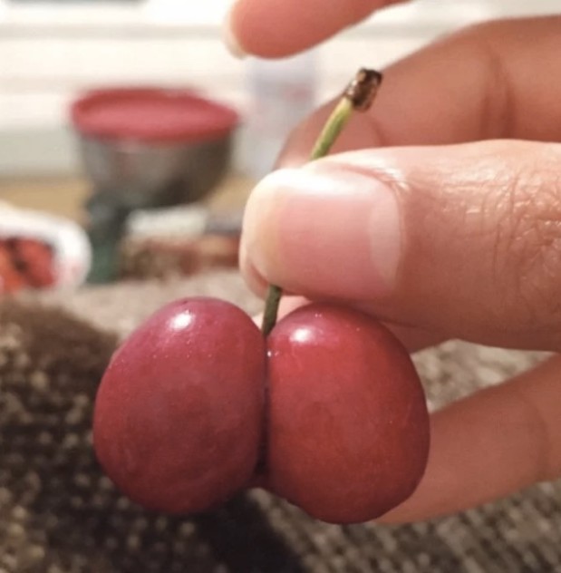 LOlkuva 2018-12-4 kello 11.21.05