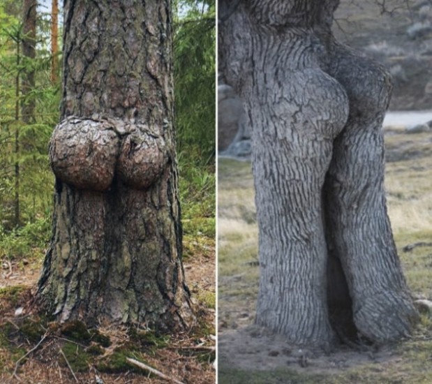 LOlkuva 2018-12-4 kello 11.21.14