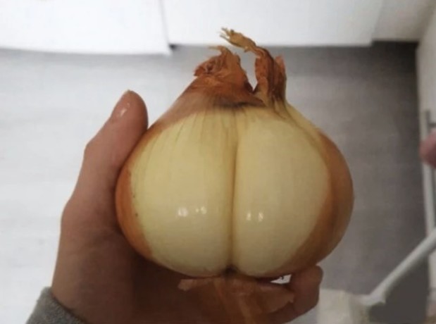 LOlkuva 2018-12-4 kello 11.21.31