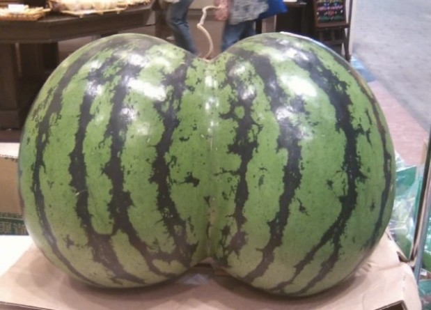 LOlkuva 2018-12-4 kello 11.21.50