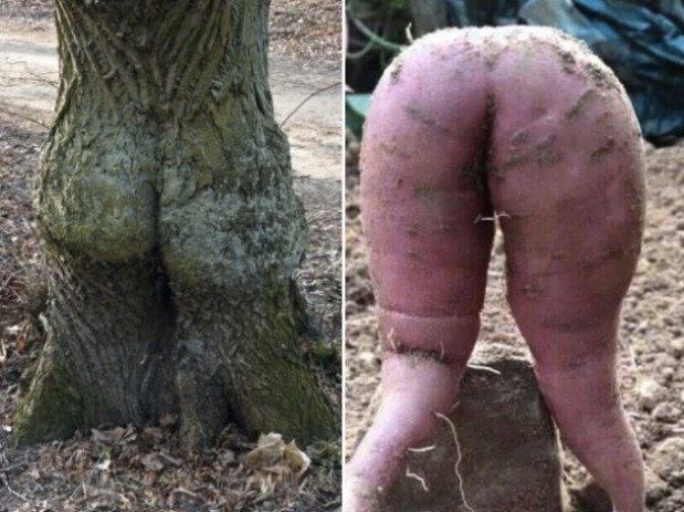 LOlkuva 2018-12-4 kello 11.22.02