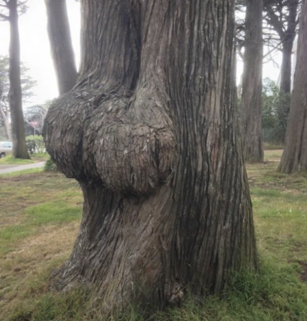 LOlkuva 2018-12-4 kello 11.22.39