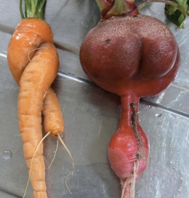 LOlkuva 2018-12-4 kello 11.23.07