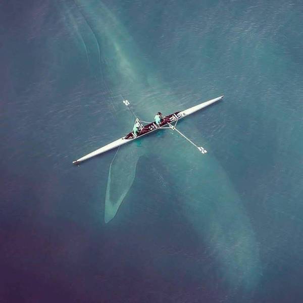 Todella moni kärsii thalossofobiasta katso kuvat ja saat tietää