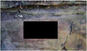 BeFunky-collage – 2019-03-08T123103.689