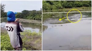 BeFunky-collage – 2019-04-02T105438.965