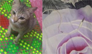 BeFunky-collage – 2019-05-15T103709.039