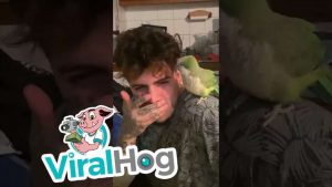 Papukaija innostuu beatboxaan – Hyvin jammailee!