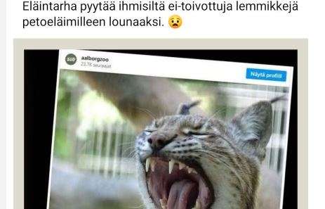 Lemmikki