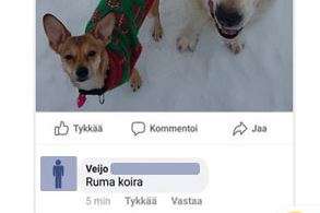 veijo
