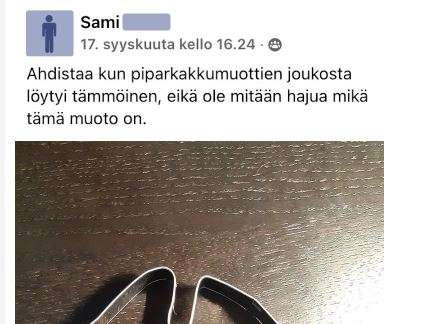 Pipari
