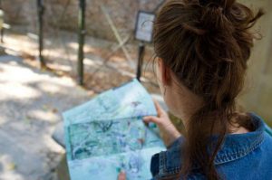 thijs-kremers-Ao4pHQqiYfY-unsplash